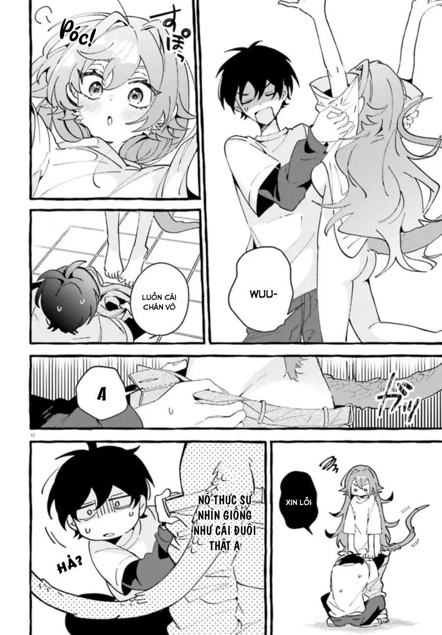 Kimi Wa Kawaii Reptile Chapter 1 - Trang 2