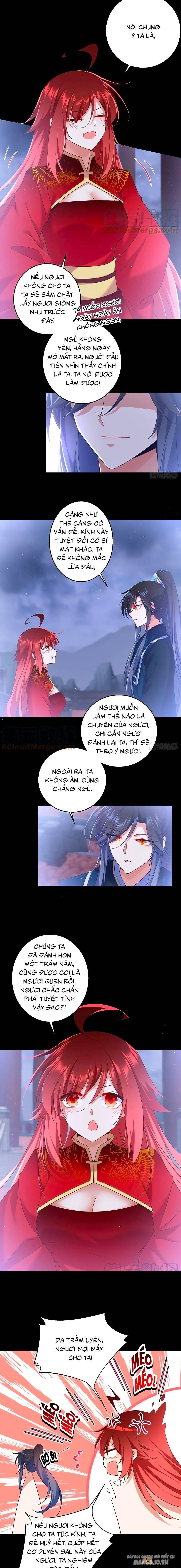 Manh Sư Tại Thượng Chapter 333 - Trang 2