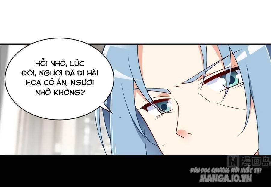 Manh Sư Tại Thượng Chapter 149 - Trang 2