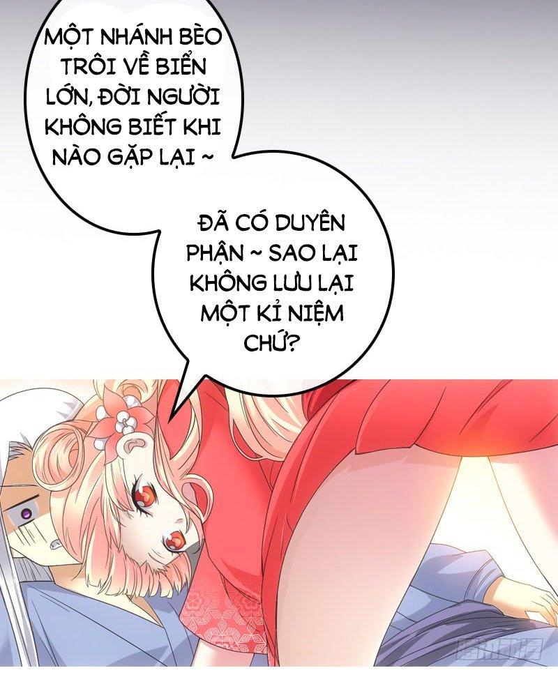 Yêu Phi Bám Lấy Không Buông Chapter 2 - Trang 2