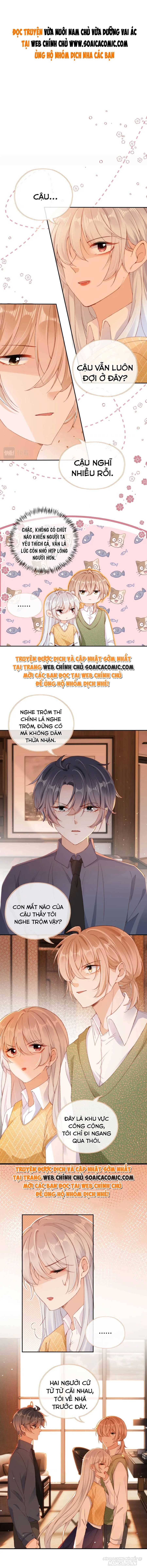 Vừa Nuôi Nam Chủ Vừa Dưỡng Vai Ác Chapter 58 - Trang 2