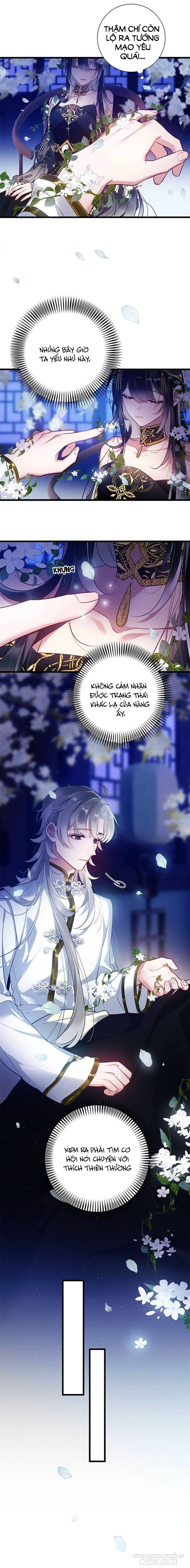 Sư Tôn Người Thật Lắm Chiêu Chapter 5 - Trang 2