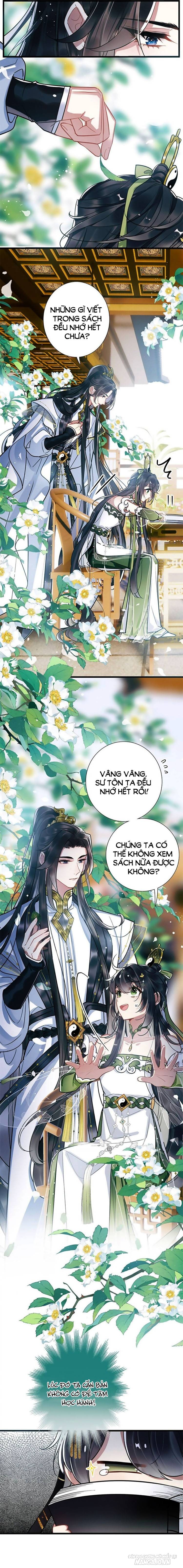 Sư Tôn Người Thật Lắm Chiêu Chapter 3 - Trang 2