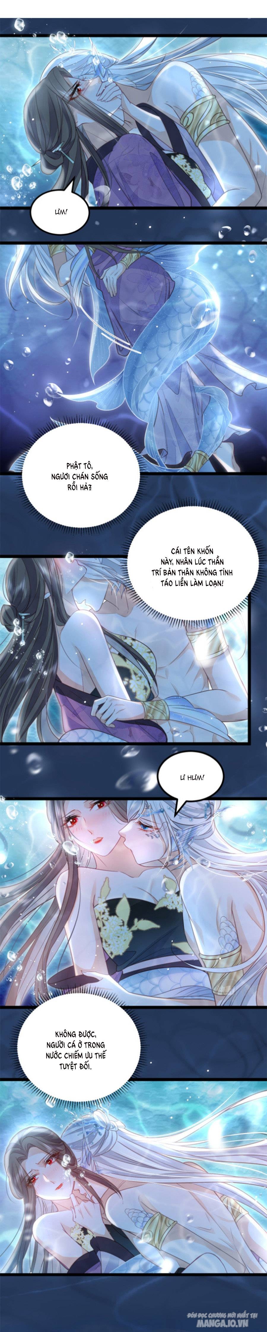 Giao Nhân Đệ Đệ Lại Cắn Ta! Chapter 18 - Trang 2