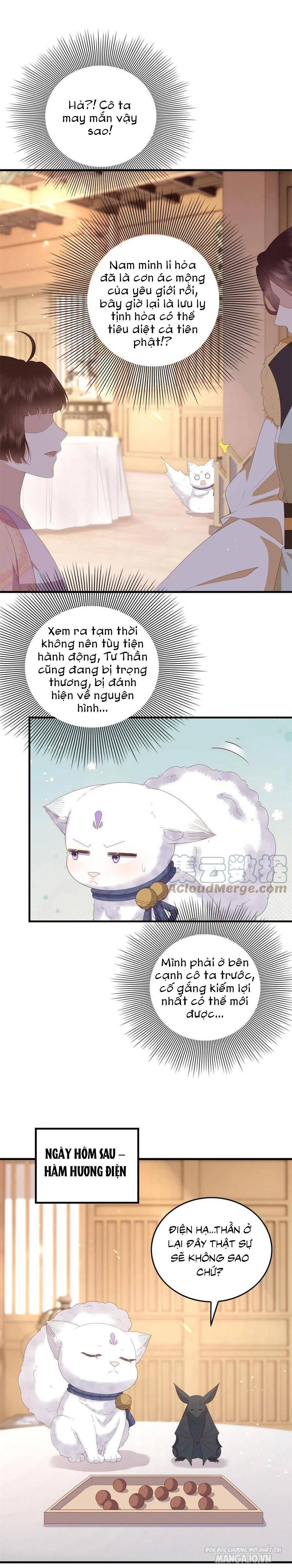 Nữ Phụ Không Thể Chọc Giận Chapter 95 - Trang 2