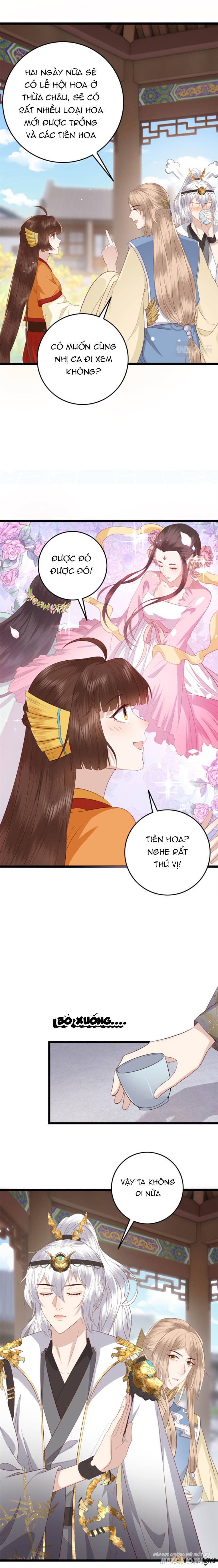 Nữ Phụ Không Thể Chọc Giận Chapter 7 - Trang 2