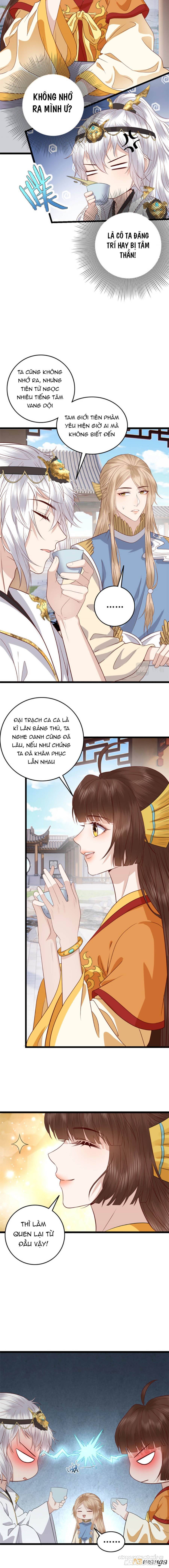 Nữ Phụ Không Thể Chọc Giận Chapter 6 - Trang 2