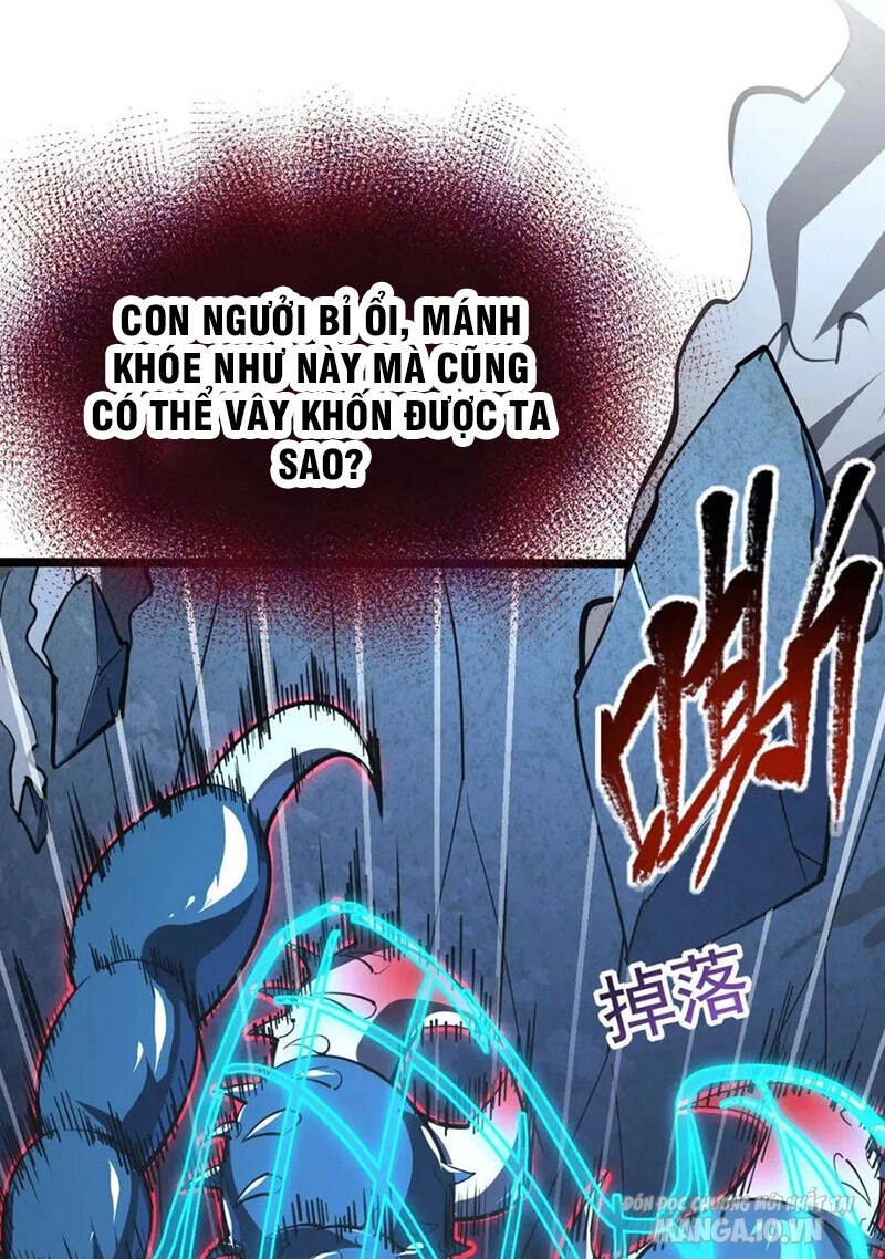 Từ Mạt Thế Quật Khởi Chapter 117 - Trang 2