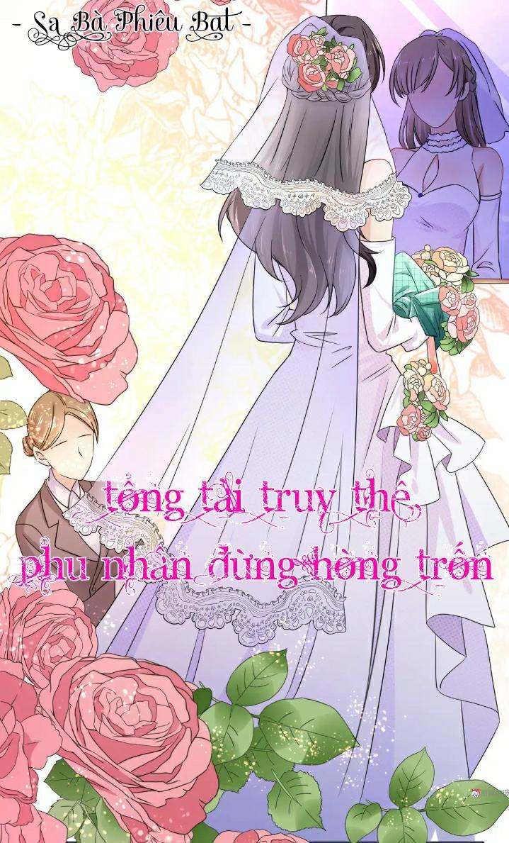 Tổng Tài Truy Thê: Phu Nhân Đừng Hòng Trốn Chapter 21 - Trang 2