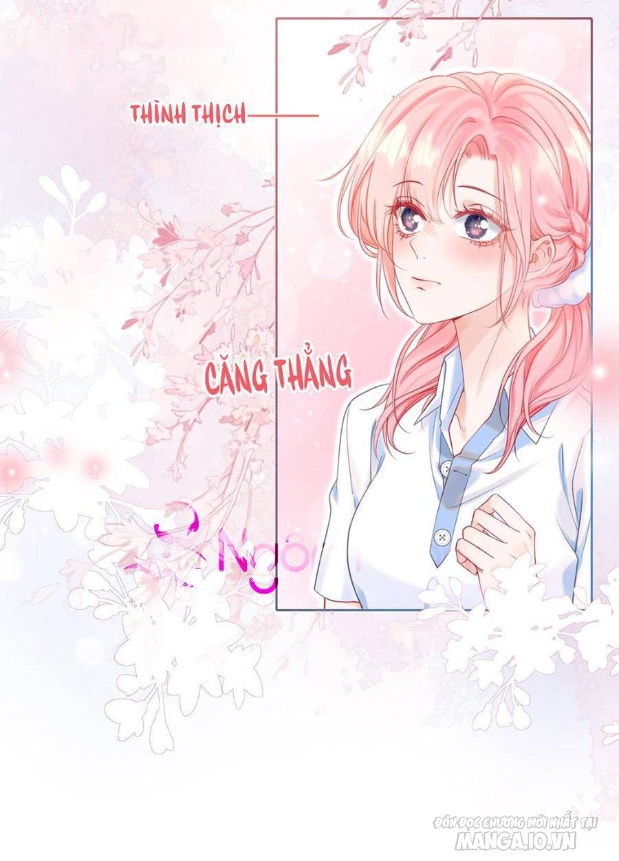 Trở Về Năm Mà Ông Xã Làm Giáo Thảo Chapter 5 - Trang 2