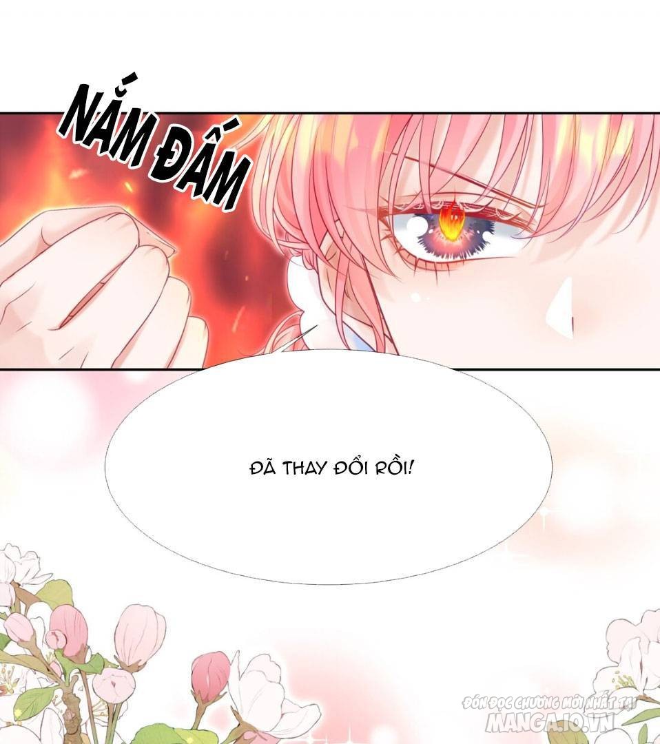 Trở Về Năm Mà Ông Xã Làm Giáo Thảo Chapter 2 - Trang 2