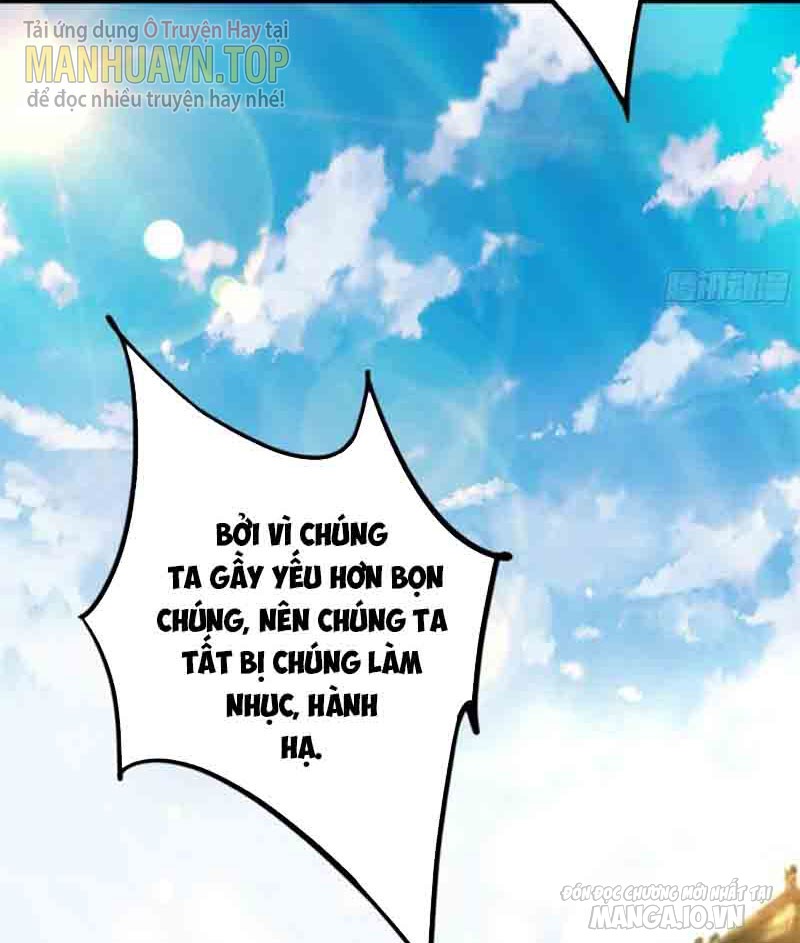 Ta Có Một Gốc Cây Thần Thoại Chapter 3 - Trang 2