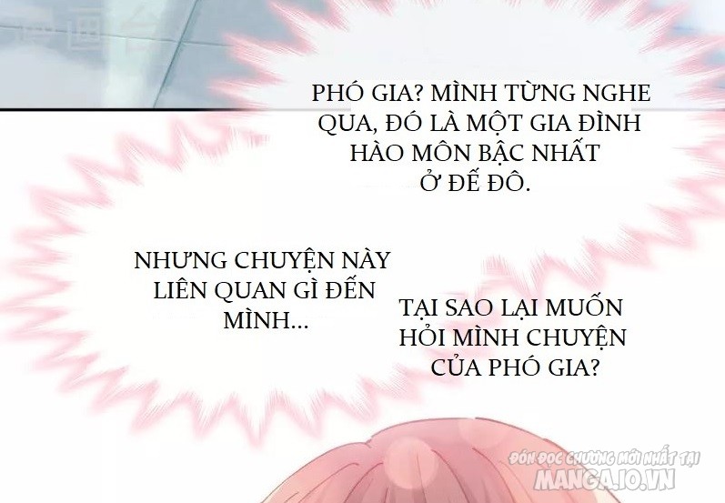 Dụ Sủng Kiều Thê, Tổng Tài Bá Đạo Xin Nhẹ Nhàng Một Chút Chapter 4 - Trang 2