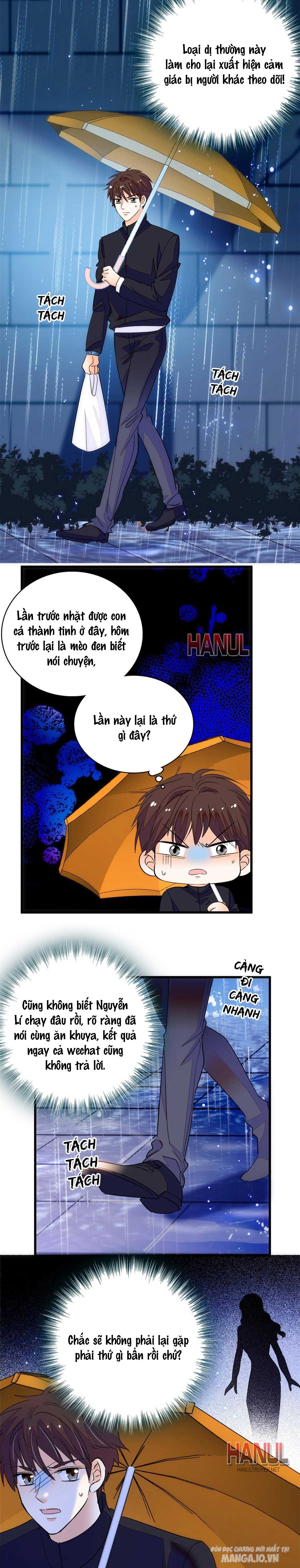 Fan Cp Của Tôi Và Ảnh Đế Trãi Dài Khắp Mxh Chapter 226 - Trang 2