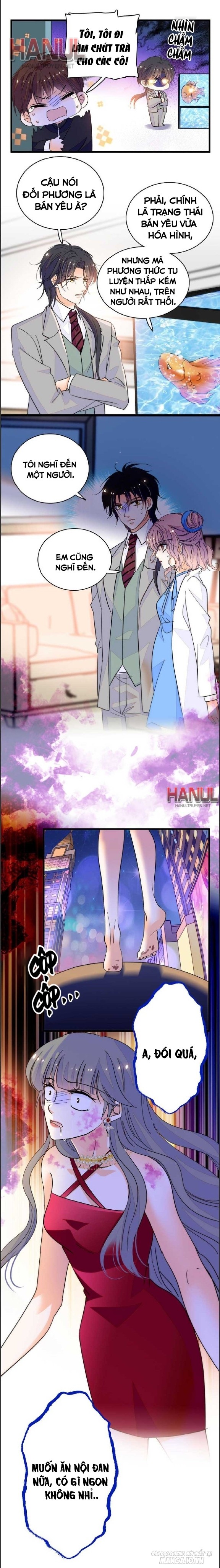 Fan Cp Của Tôi Và Ảnh Đế Trãi Dài Khắp Mxh Chapter 226 - Trang 2