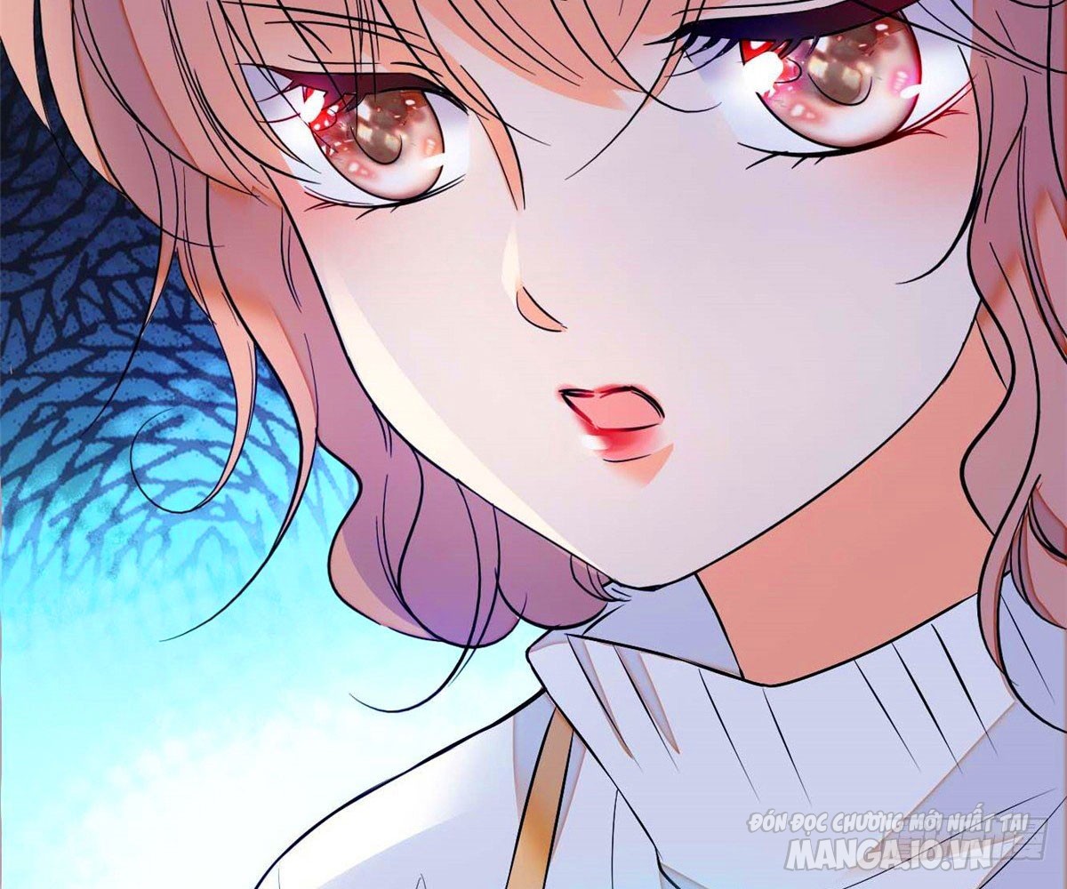 Fan Cp Của Tôi Và Ảnh Đế Trãi Dài Khắp Mxh Chapter 11.1 - Trang 2