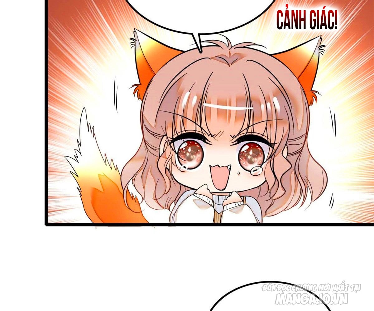 Fan Cp Của Tôi Và Ảnh Đế Trãi Dài Khắp Mxh Chapter 11.1 - Trang 2