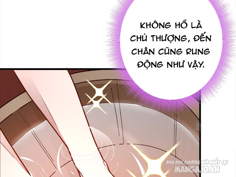 Ta! Phản Diện Thiên Mệnh Lại Thành Lão Tổ Chính Đạo Chapter 2 - Trang 2