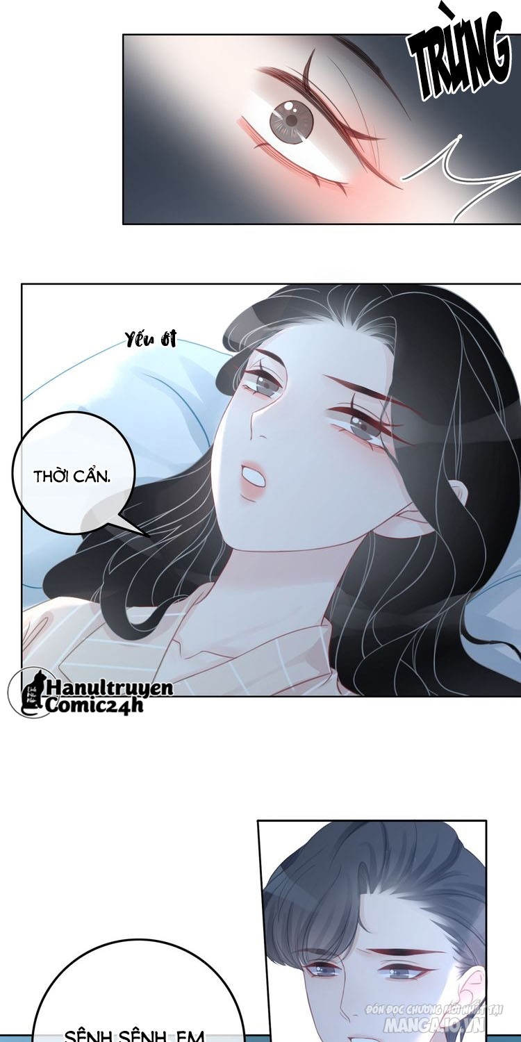 Hắc Ám Hệ Noãn Hôn Chapter 61 - Trang 2