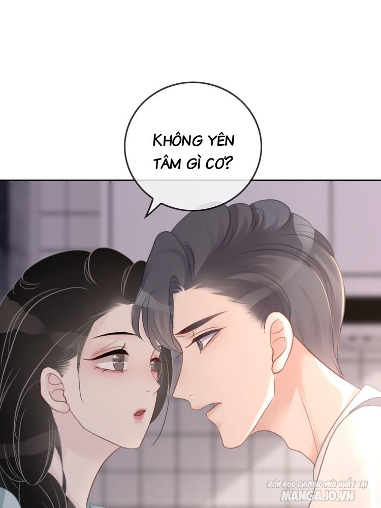 Hắc Ám Hệ Noãn Hôn Chapter 43.1 - Trang 2