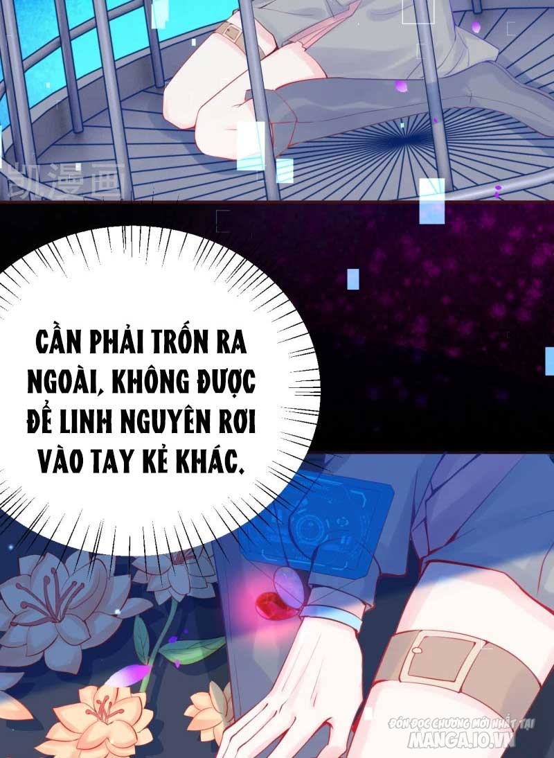 Đế Thiếu Bá Đạo, Cục Cưng Đừng Hòng Trốn Chapter 35.2 - Trang 2