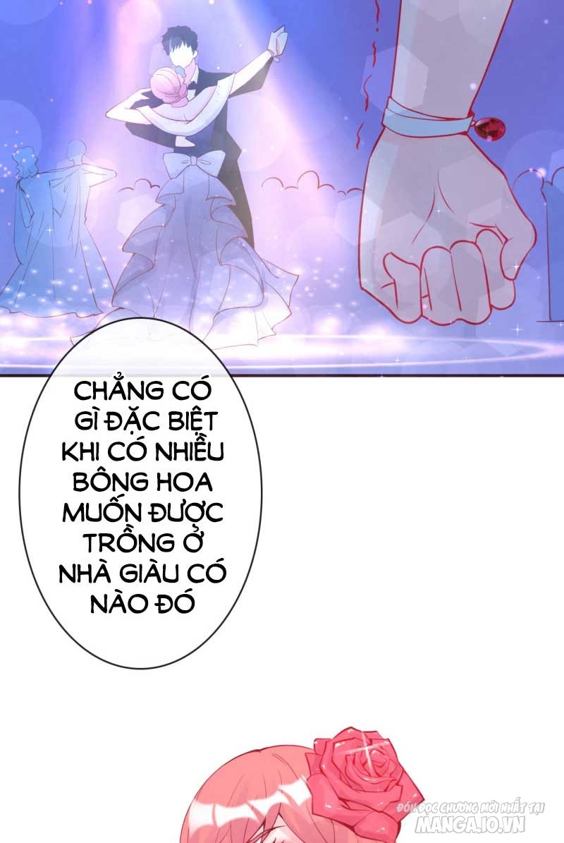 Đế Thiếu Bá Đạo, Cục Cưng Đừng Hòng Trốn Chapter 17.2 - Trang 2