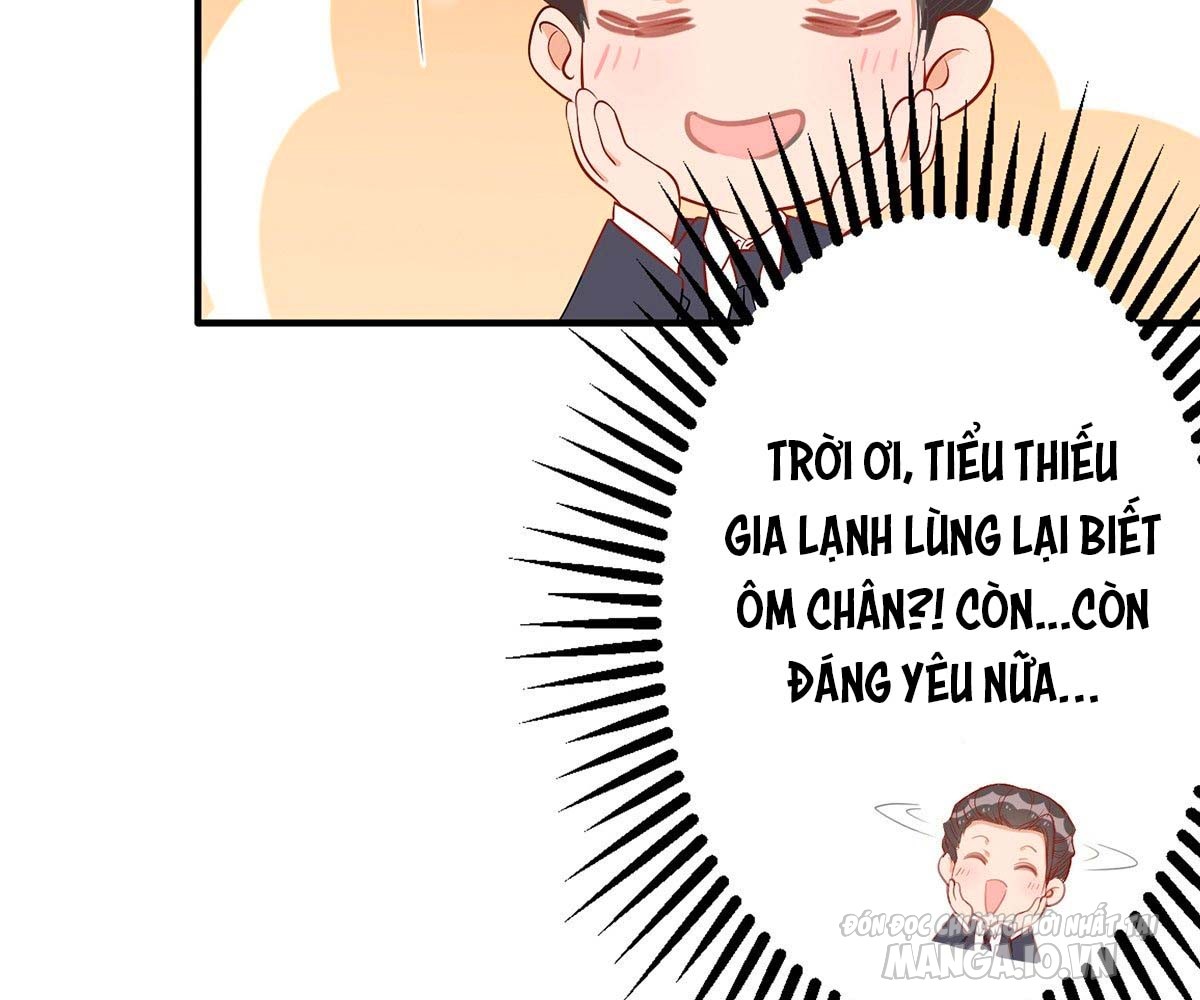 Daddy Của Tôi Bị Ooc Rồi! Chapter 28 - Trang 2