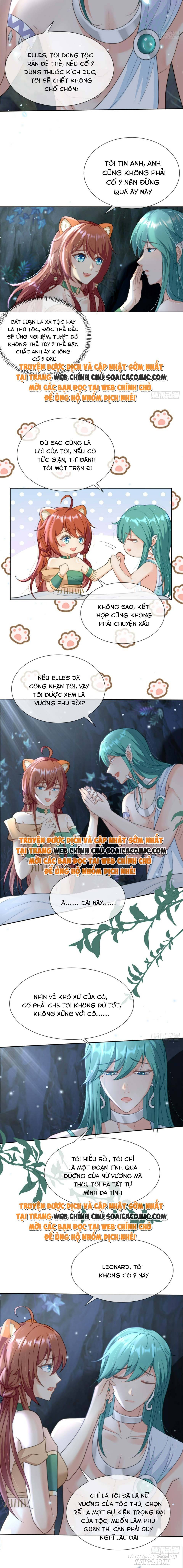 Nữ Vương Thú Thế: Nàng Chọn Yêu Hay Hận Chapter 10 - Trang 2