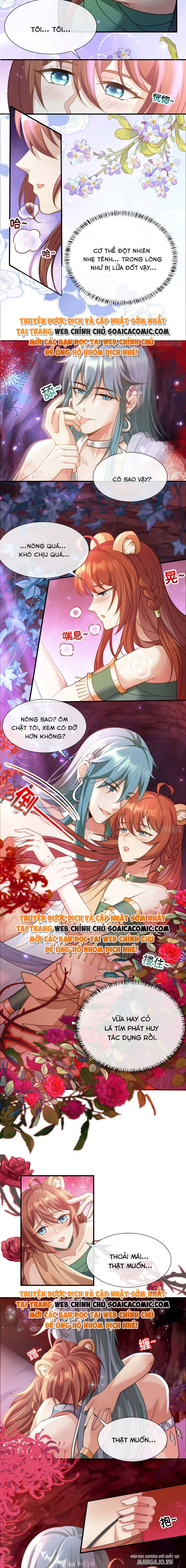 Nữ Vương Thú Thế: Nàng Chọn Yêu Hay Hận Chapter 9 - Trang 2