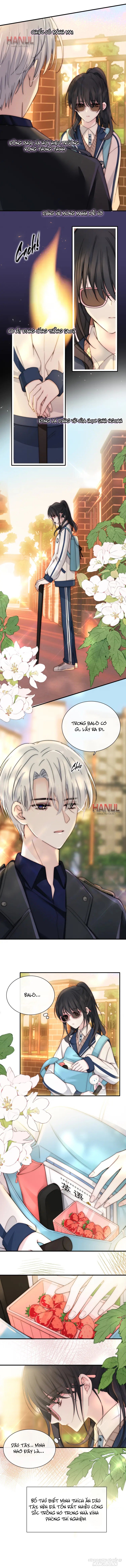 Nhất Mực Cưng Chiều Chapter 4 - Trang 2