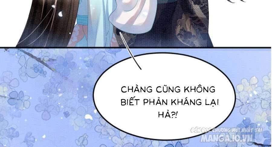 Xuyên Thành Hoàng Hậu Của Cháu Trai Hoàng Đế Chapter 69 - Trang 2