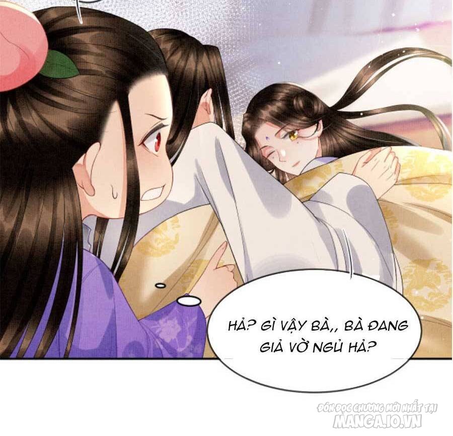 Xuyên Thành Hoàng Hậu Của Cháu Trai Hoàng Đế Chapter 36 - Trang 2