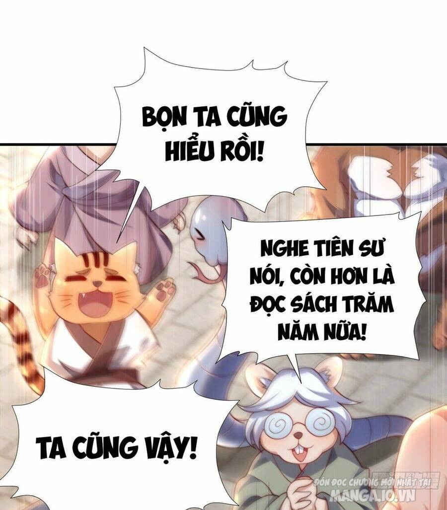 Bắt Đầu Thổ Lộ Với Mỹ Nữ Sư Tôn Chapter 27 - Trang 2