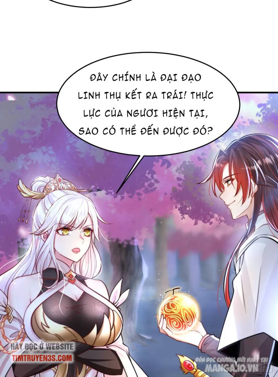 Bắt Đầu Thổ Lộ Với Mỹ Nữ Sư Tôn Chapter 7 - Trang 2