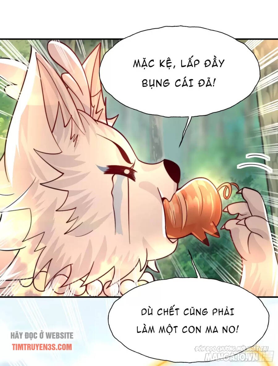 Bắt Đầu Thổ Lộ Với Mỹ Nữ Sư Tôn Chapter 7 - Trang 2