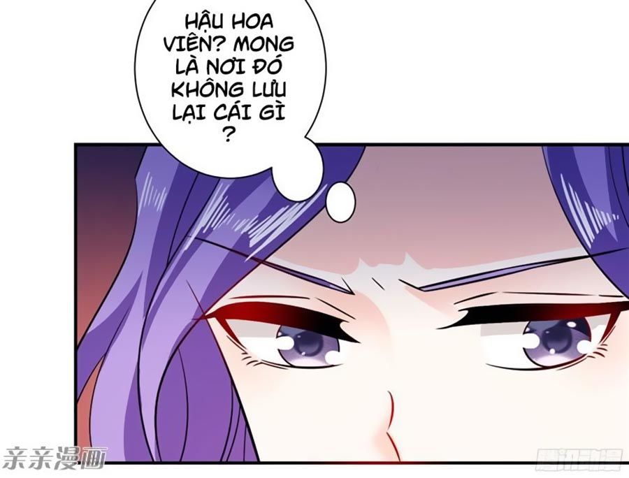 Vợ Yêu Là Báu Vật Chapter 38 - Trang 2