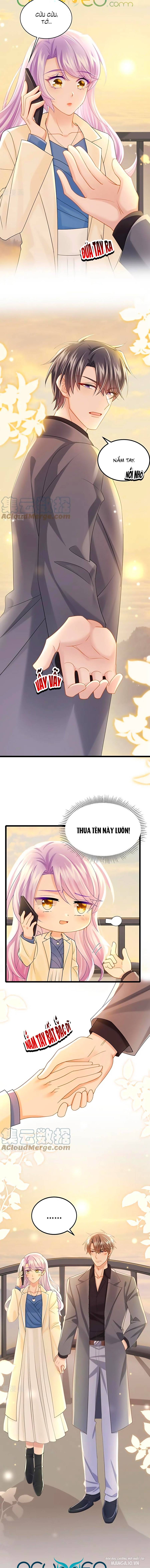 Manh Bảo Của Tôi Là Liêu Cơ Chapter 116 - Trang 2