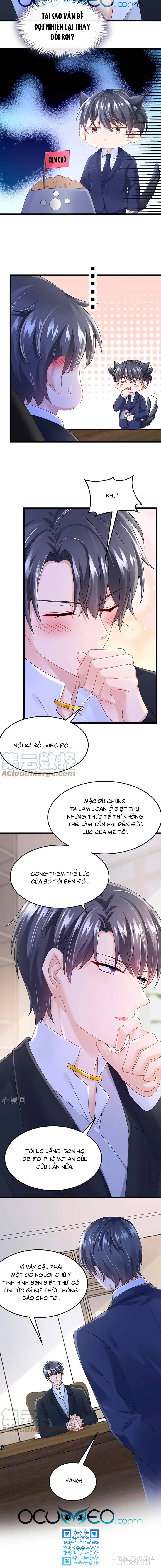 Manh Bảo Của Tôi Là Liêu Cơ Chapter 47 - Trang 2