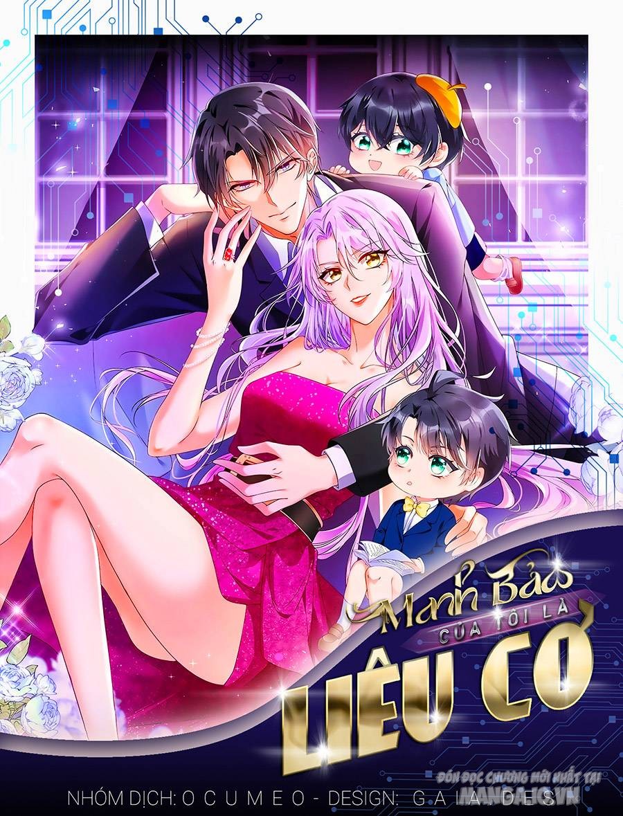 Manh Bảo Của Tôi Là Liêu Cơ Chapter 19 - Trang 2