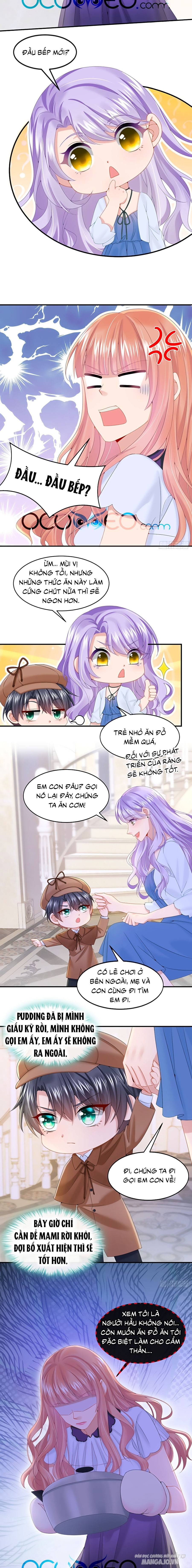 Manh Bảo Của Tôi Là Liêu Cơ Chapter 12 - Trang 2