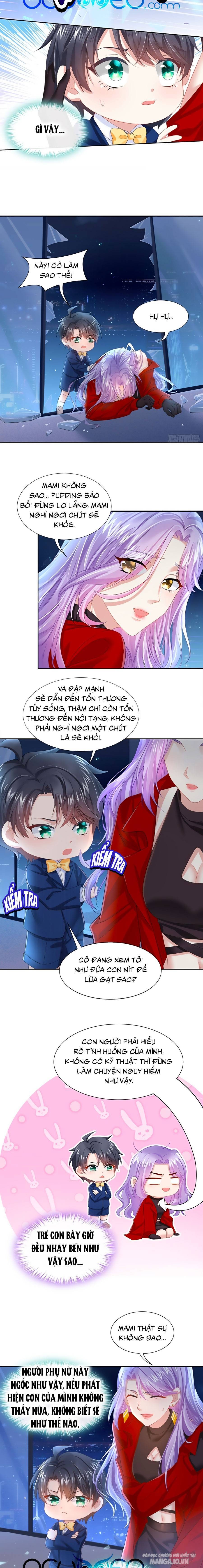 Manh Bảo Của Tôi Là Liêu Cơ Chapter 2 - Trang 2