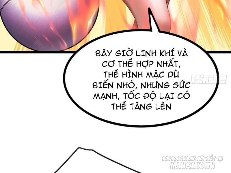 Đại Phản Diện Đi Tìm Chết Chapter 51 - Trang 2