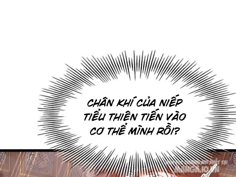 Đại Phản Diện Đi Tìm Chết Chapter 44 - Trang 2