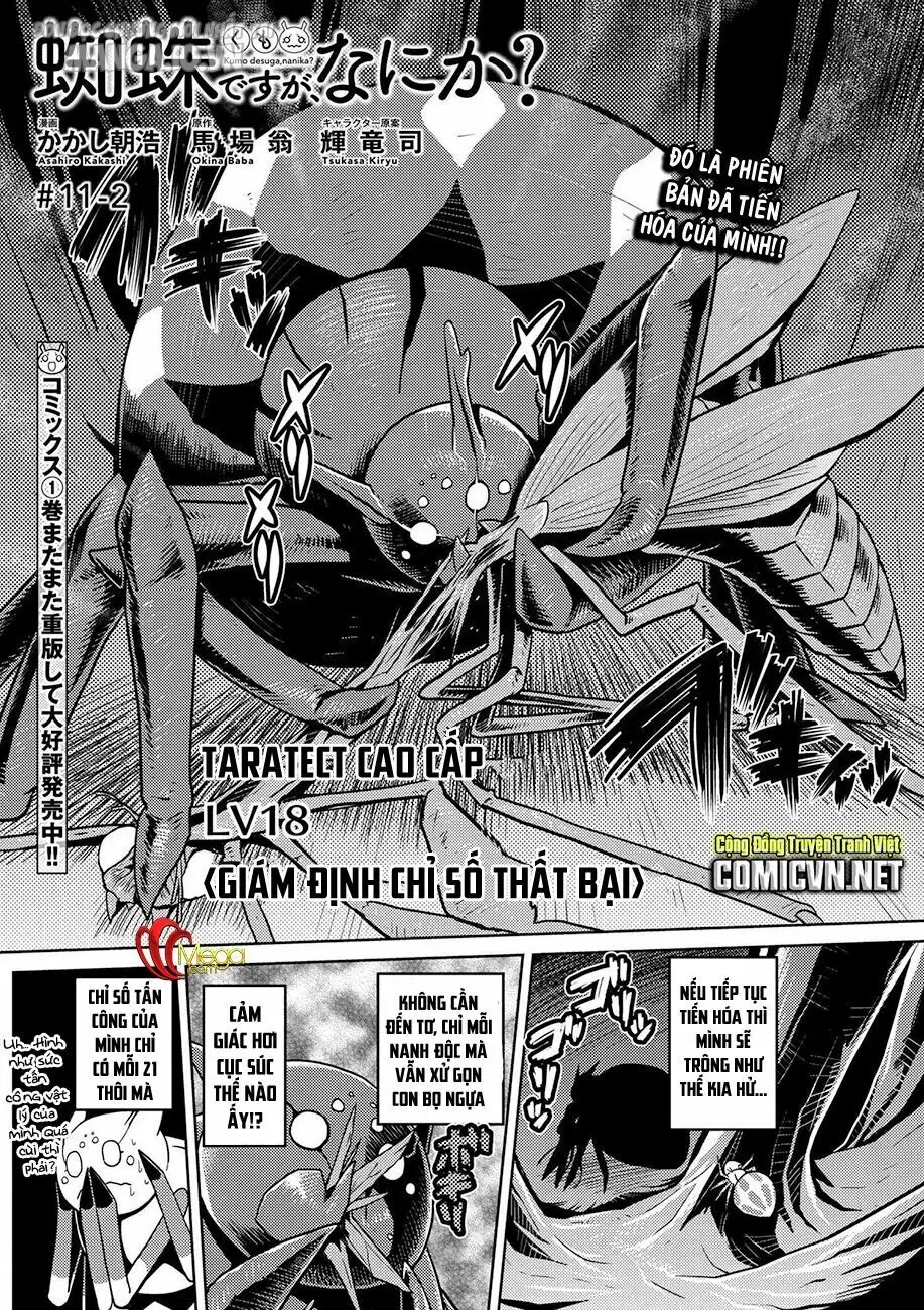 Kumo Desu Ga, Nani Ka? Chapter 16 - Trang 2