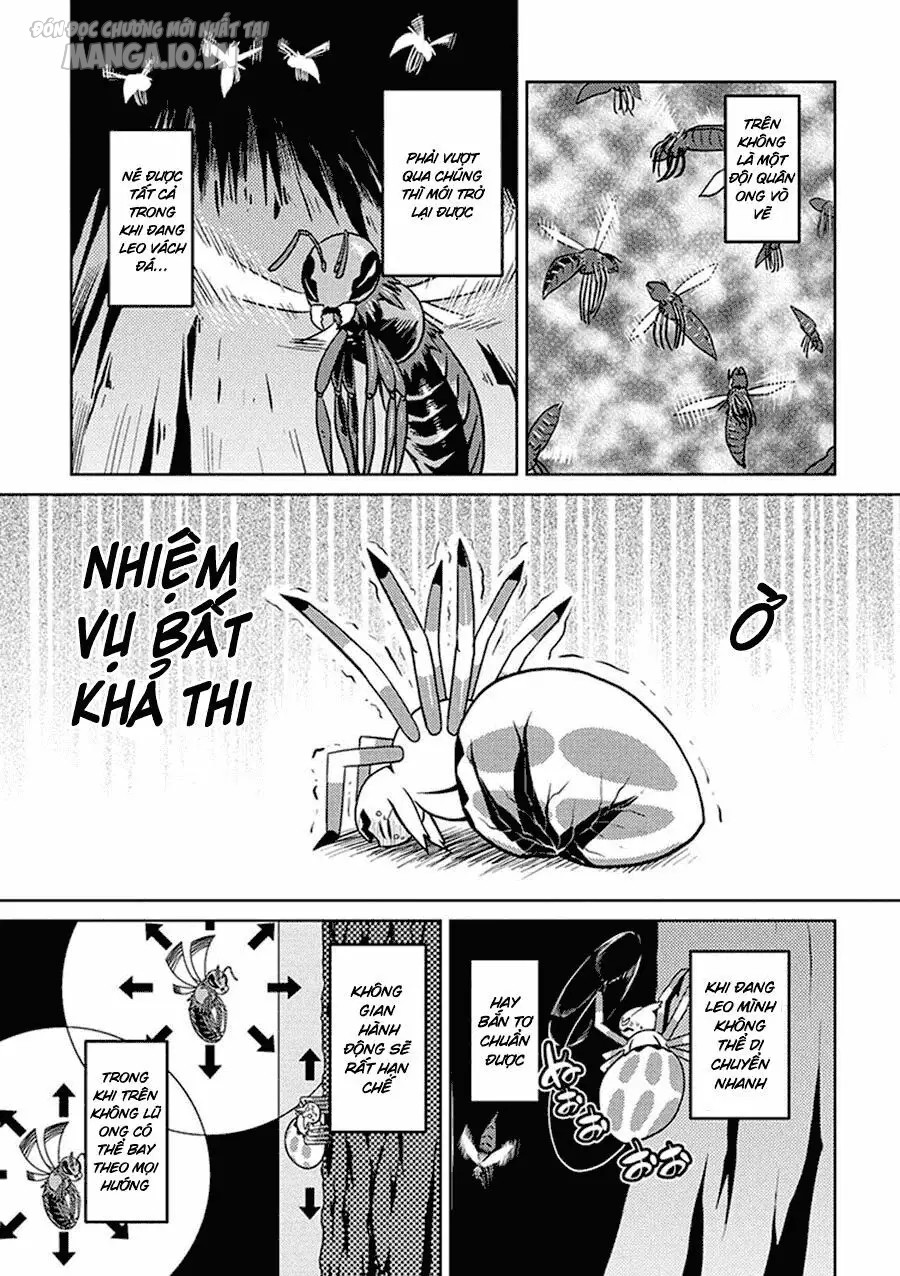 Kumo Desu Ga, Nani Ka? Chapter 11 - Trang 2