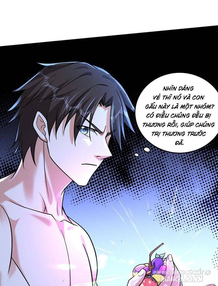 Siêu Cấp Thần Y Tại Đô Thị Chapter 268 - Trang 2