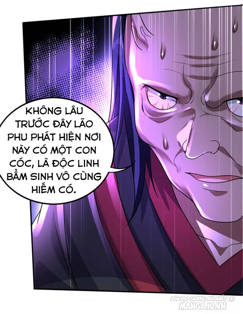 Siêu Cấp Thần Y Tại Đô Thị Chapter 265 - Trang 2