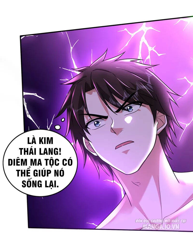 Siêu Cấp Thần Y Tại Đô Thị Chapter 265 - Trang 2