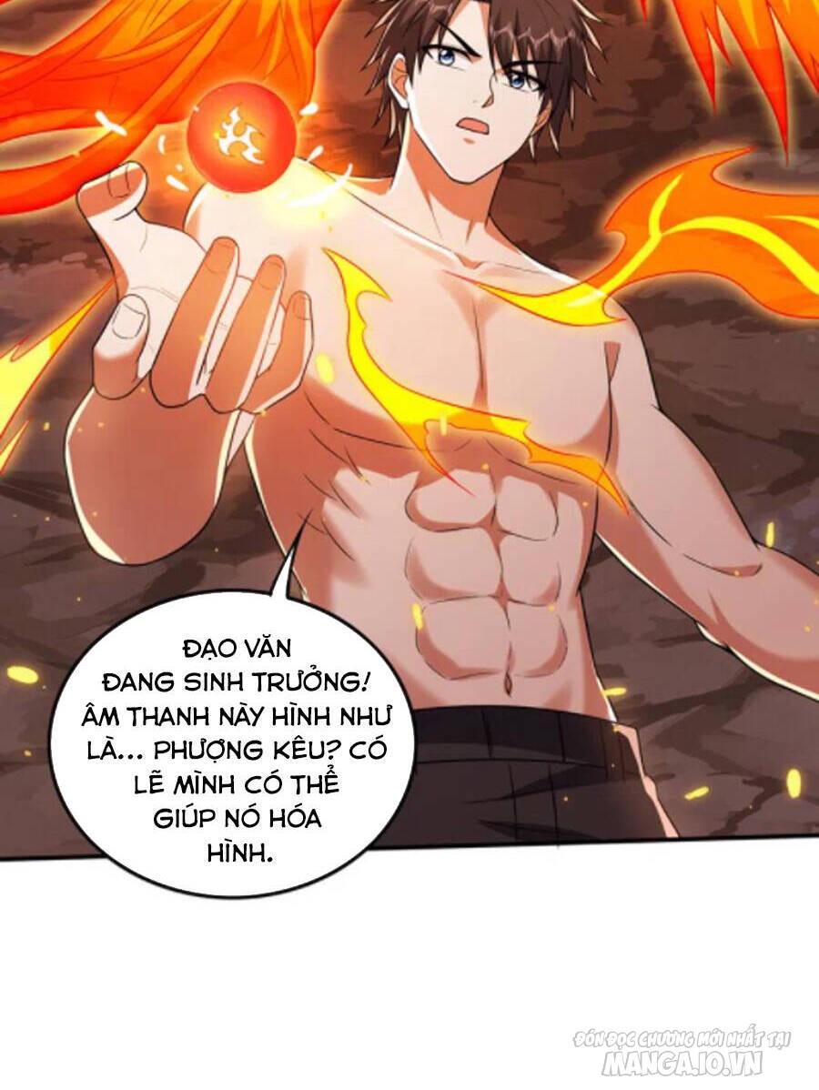 Siêu Cấp Thần Y Tại Đô Thị Chapter 254 - Trang 2