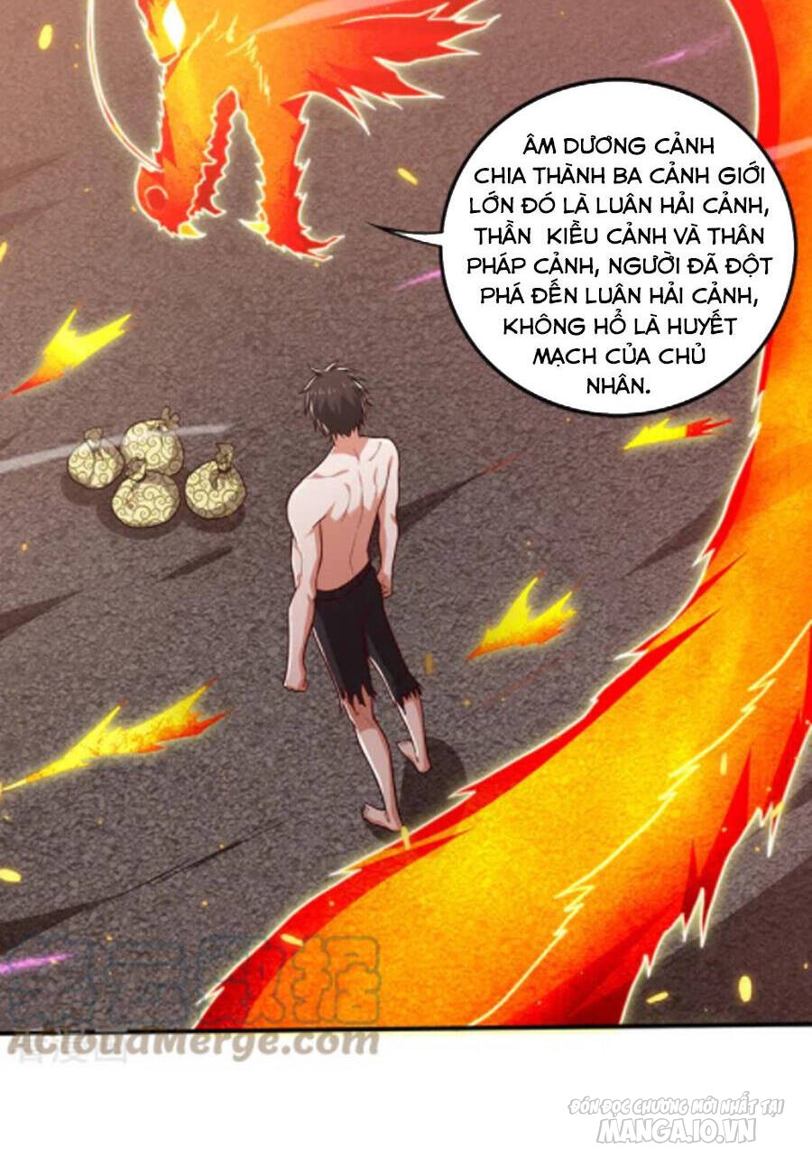 Siêu Cấp Thần Y Tại Đô Thị Chapter 254 - Trang 2